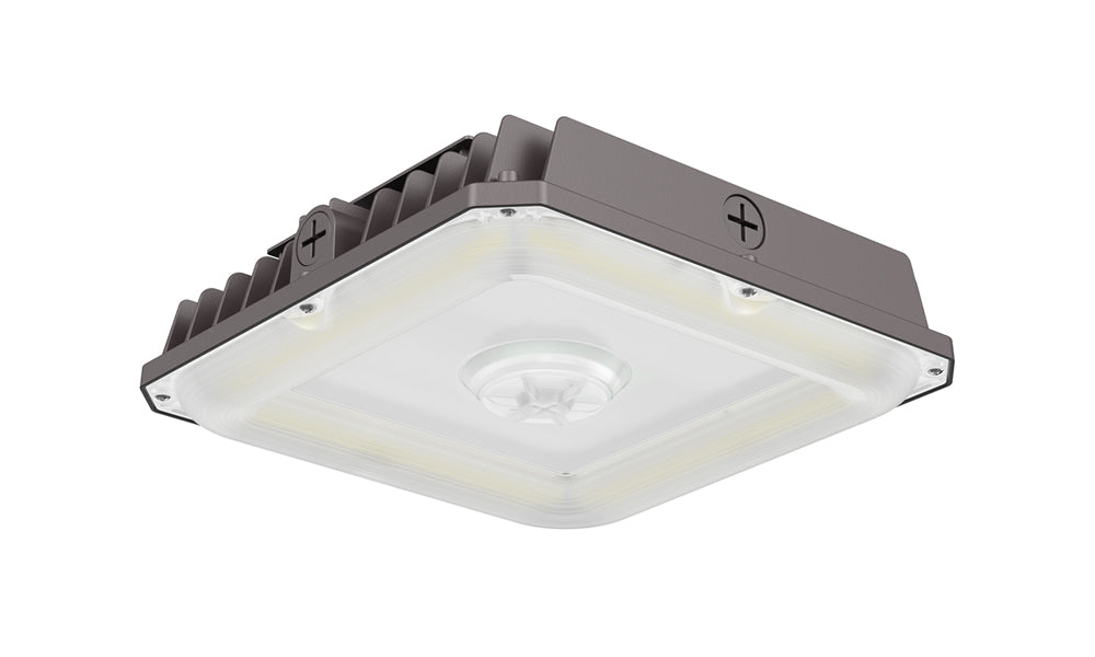 Wattage & Color Adjustable LED Garage Canopy | 10,000 Lumens